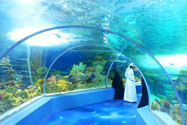 افضل-عروض-السياحة-الداخلية-في-جدة-2025