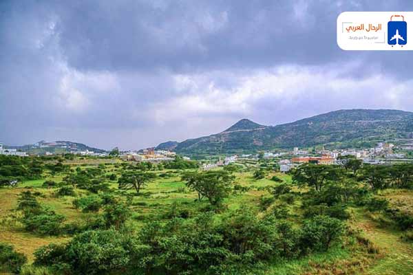 مدينة-النماص-بالسعودية